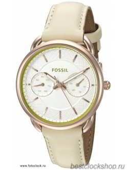 Наручные часы Fossil ES 3954 / ES3954