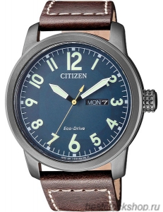 Наручные часы Citizen Eco-Drive BM8478-01L