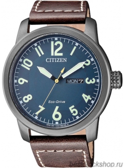 Наручные часы Citizen Eco-Drive BM8478-01L
