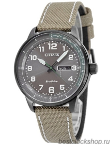 Наручные часы Citizen Eco-Drive BM8595-16H