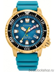 Наручные часы Citizen Eco-Drive BN0162-02X