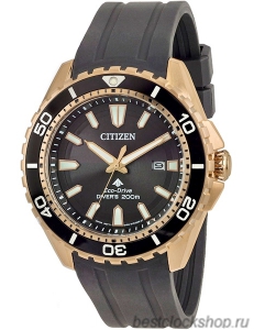 Наручные часы Citizen Eco-Drive BN0193-17E
