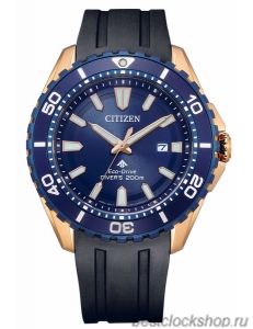 Наручные часы Citizen Eco-Drive BN0196-01L