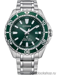 Наручные часы Citizen Eco-Drive BN0199-53X