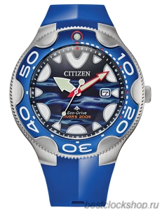 Наручные часы Citizen Eco-Drive BN0238-02L