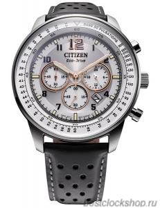 Наручные часы Citizen Eco-Drive CA4500-24H