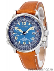 Наручные часы Citizen Eco-Drive CB0240-11L