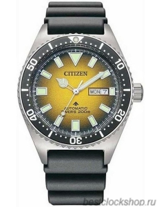 Наручные часы Citizen NY0120-01X