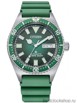 Наручные часы Citizen NY0121-09X