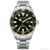 Наручные часы Citizen NY0125-83E