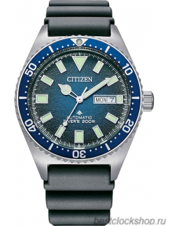 Наручные часы Citizen NY0129-07L