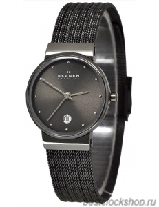 Наручные часы Skagen 355SMM1