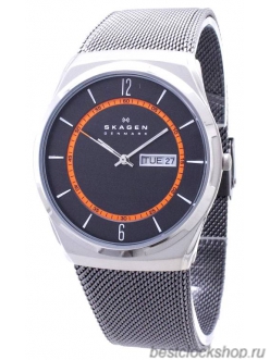 Наручные часы Skagen SKW6007