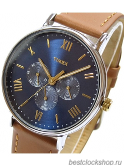 Наручные часы Timex TW2R29100