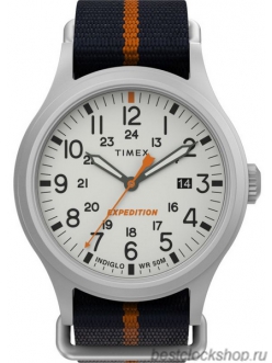 Наручные часы Timex TW2V22800